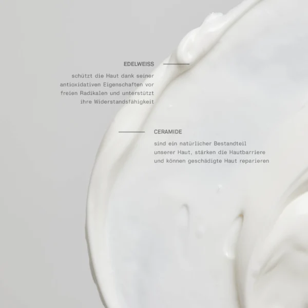 Barrier Restoring Rich Cream 01 – Bild 2